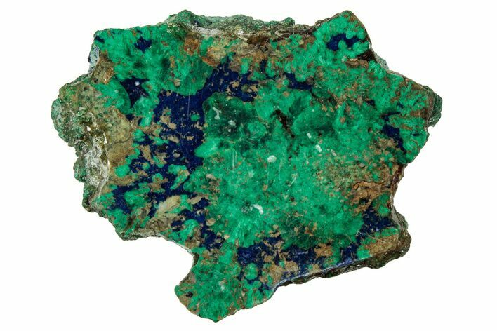 Vivid Green, Cut/Polished Malachite & Azurite Nodule - Siberia #335262
